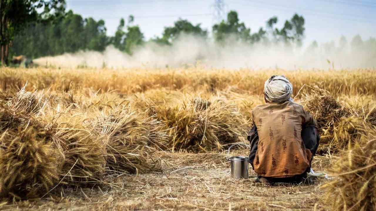 Tracing India's True Farmer - CSM Technologies
